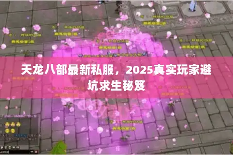天龙八部最新私服，2025真实玩家避坑求生秘笈