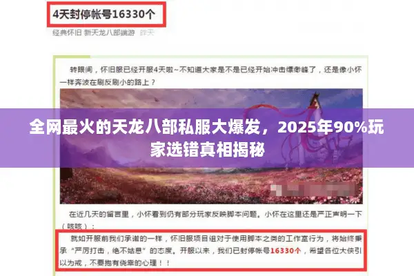 全网最火的天龙八部私服大爆发,2025年90%玩家选错真相揭秘 全网最火的天龙八部私服大爆发,2025年90%玩家选错真相揭秘