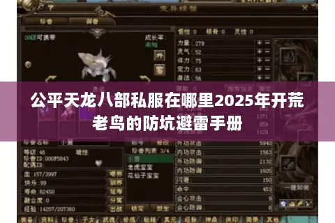 公平天龙八部私服在哪里2025年开荒老鸟的防坑避雷手册