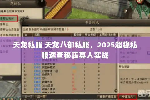 天龙私服 天龙八部私服,2025超稳私服速查秘籍真人实战 天龙私服 天龙八部私服,2025超稳私服速查秘籍真人实战