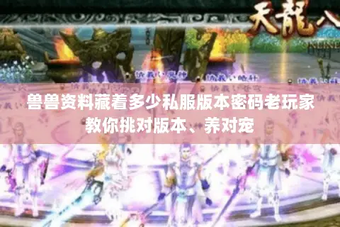 兽兽资料藏着多少私服版本密码老玩家教你挑对版本、养对宠 兽兽资料藏着多少私服版本密码老玩家教你挑对版本、养对宠