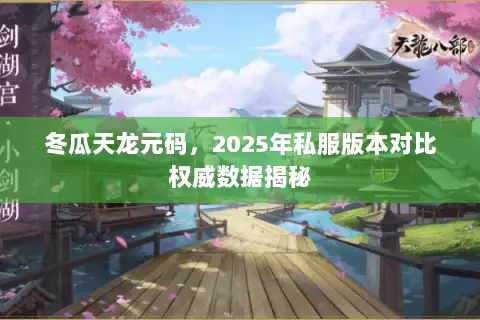 冬瓜天龙元码,2025年私服版本对比权威数据揭秘 冬瓜天龙元码,2025年私服版本对比权威数据揭秘