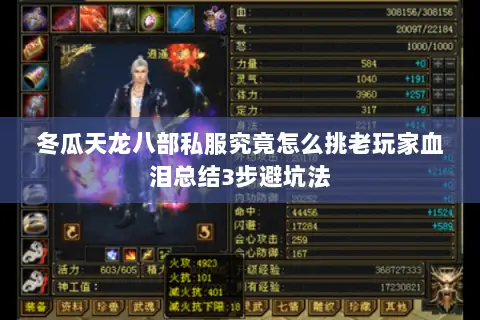 冬瓜天龙八部私服究竟怎么挑老玩家血泪总结3步避坑法 冬瓜天龙八部私服究竟怎么挑老玩家血泪总结3步避坑法