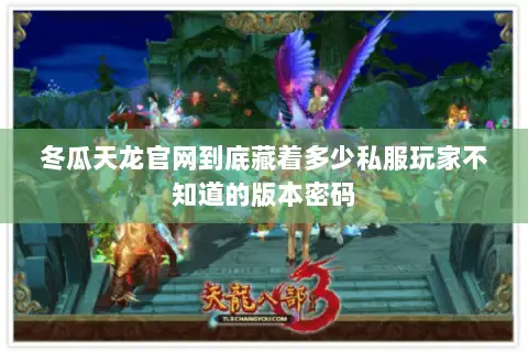 冬瓜天龙官网到底藏着多少私服玩家不知道的版本密码 冬瓜天龙官网到底藏着多少私服玩家不知道的版本密码