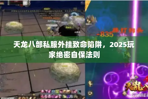 天龙八部私服外挂致命陷阱，2025玩家绝密自保法则