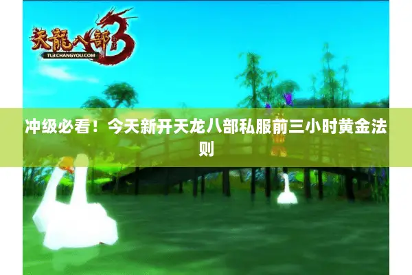 冲级必看!今天新开天龙八部私服前三小时黄金法则 冲级必看!今天新开天龙八部私服前三小时黄金法则