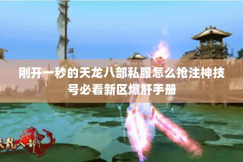 刚开一秒的天龙八部私服怎么抢注神技号必看新区爆肝手册 刚开一秒的天龙八部私服怎么抢注神技号必看新区爆肝手册