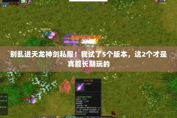 别乱进天龙神剑私服!我试了5个版本,这2个才是真能长期玩的 别乱进天龙神剑私服!我试了5个版本,这2个才是真能长期玩的