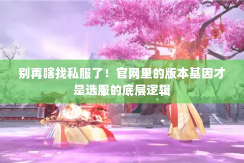 别再瞎找私服了！官网里的版本基因才是选服的底层逻辑