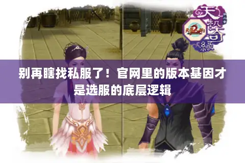 别再瞎找私服了！官网里的版本基因才是选服的底层逻辑