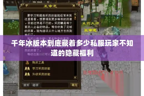 千年冰版本到底藏着多少私服玩家不知道的隐藏福利 千年冰版本到底藏着多少私服玩家不知道的隐藏福利