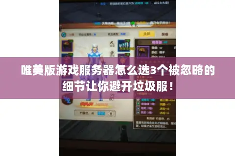 唯美版游戏服务器怎么选3个被忽略的细节让你避开垃圾服！
