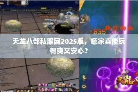 天龙八部私服网2025版,哪家真能玩得爽又安心? 天龙八部私服网2025版,哪家真能玩得爽又安心?
