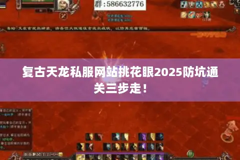 复古天龙私服网站挑花眼2025防坑通关三步走！