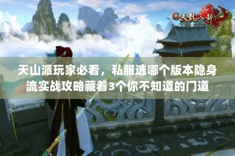 天山派玩家必看，私服选哪个版本隐身流实战攻略藏着3个你不知道的门道