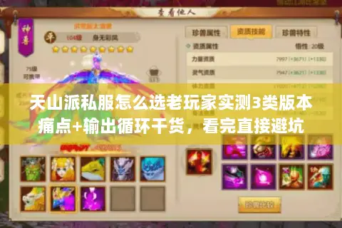 天山派私服怎么选老玩家实测3类版本痛点+输出循环干货,看完直接避坑 天山派私服怎么选老玩家实测3类版本痛点+输出循环干货,看完直接避坑