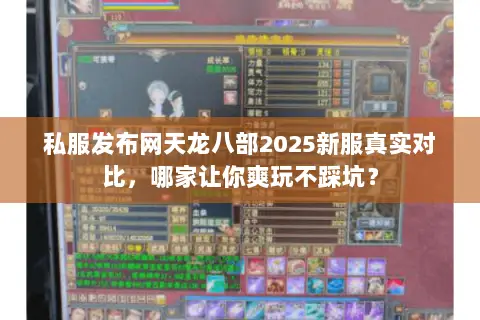 私服发布网天龙八部2025新服真实对比,哪家让你爽玩不踩坑? 私服发布网天龙八部2025新服真实对比,哪家让你爽玩不踩坑?