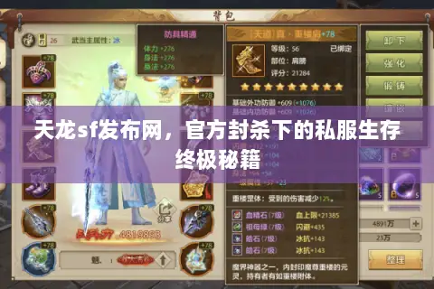 天龙sf发布网,官方封杀下的私服生存终极秘籍 天龙sf发布网,官方封杀下的私服生存终极秘籍