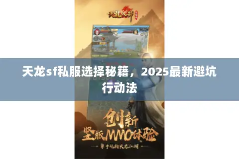 天龙sf私服选择秘籍,2025最新避坑行动法 天龙sf私服选择秘籍,2025最新避坑行动法