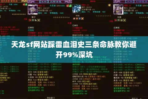天龙sf网站踩雷血泪史三条命脉教你避开99%深坑