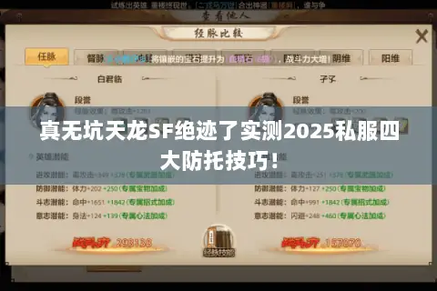 真无坑天龙SF绝迹了实测2025私服四大防托技巧！