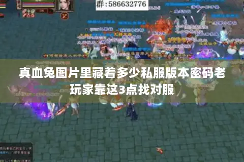 真血兔图片里藏着多少私服版本密码老玩家靠这3点找对服 真血兔图片里藏着多少私服版本密码老玩家靠这3点找对服