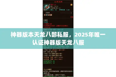神器版本天龙八部私服，2025年唯一认证神器版天龙八服