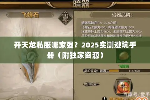 开天龙私服哪家强?2025实测避坑手册(附独家资源) 开天龙私服哪家强?2025实测避坑手册(附独家资源)