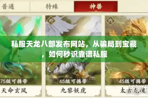 私服天龙八部发布网站,从骗局到宝藏,如何秒识靠谱私服 私服天龙八部发布网站,从骗局到宝藏,如何秒识靠谱私服