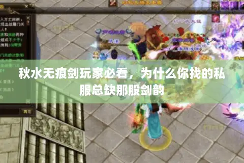 秋水无痕剑玩家必看,为什么你找的私服总缺那股剑韵 秋水无痕剑玩家必看,为什么你找的私服总缺那股剑韵