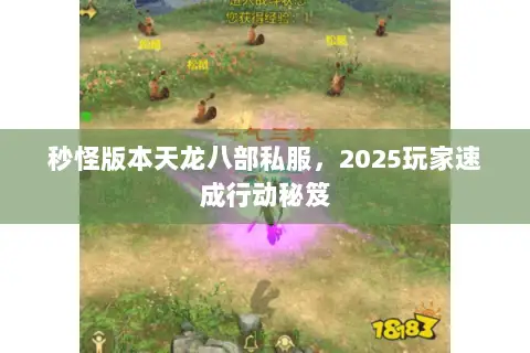 秒怪版本天龙八部私服,2025玩家速成行动秘笈 秒怪版本天龙八部私服,2025玩家速成行动秘笈