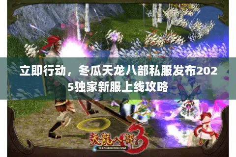 立即行动,冬瓜天龙八部私服发布2025独家新服上线攻略 立即行动,冬瓜天龙八部私服发布2025独家新服上线攻略