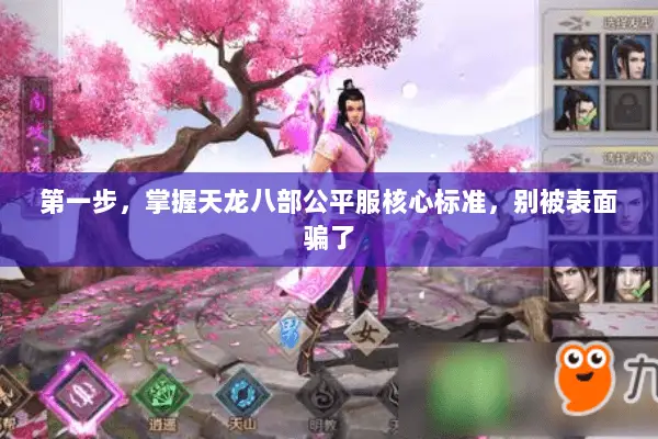 第一步,掌握天龙八部公平服核心标准,别被表面骗了 第一步,掌握天龙八部公平服核心标准,别被表面骗了