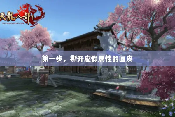第一步,撕开虚假属性的画皮 第一步,撕开虚假属性的画皮