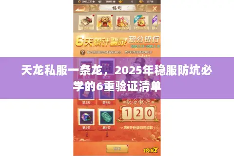 天龙私服一条龙，2025年稳服防坑必学的6重验证清单