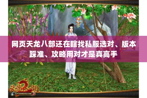 网页天龙八部还在瞎找私服选对、版本踩准、攻略用对才是真高手