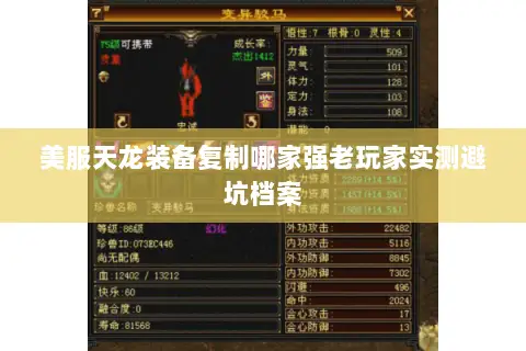 美服天龙装备复制哪家强老玩家实测避坑档案 美服天龙装备复制哪家强老玩家实测避坑档案