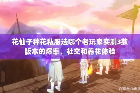 花仙子种花私服选哪个老玩家实测3款版本的爆率、社交和养花体验