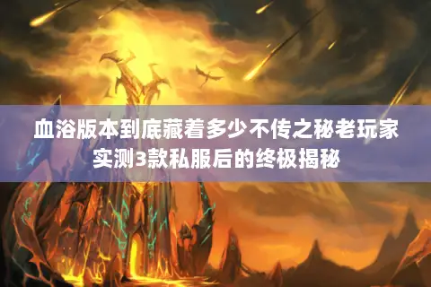 血浴版本到底藏着多少不传之秘老玩家实测3款私服后的终极揭秘 血浴版本到底藏着多少不传之秘老玩家实测3款私服后的终极揭秘