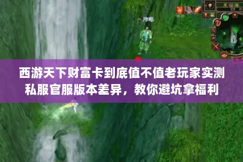 西游天下财富卡到底值不值老玩家实测私服官服版本差异，教你避坑拿福利