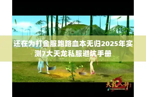 还在为打金服跑路血本无归2025年实测7大天龙私服避坑手册
