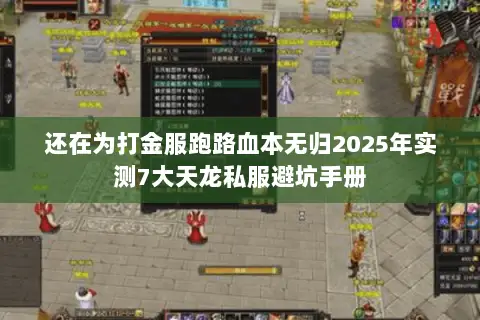 还在为打金服跑路血本无归2025年实测7大天龙私服避坑手册