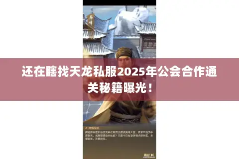 还在瞎找天龙私服2025年公会合作通关秘籍曝光！