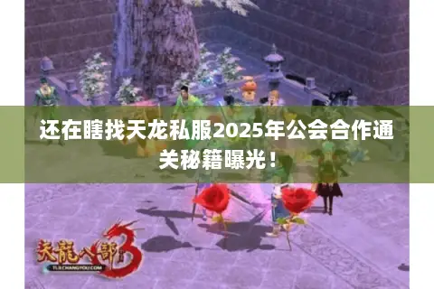 还在瞎找天龙私服2025年公会合作通关秘籍曝光！