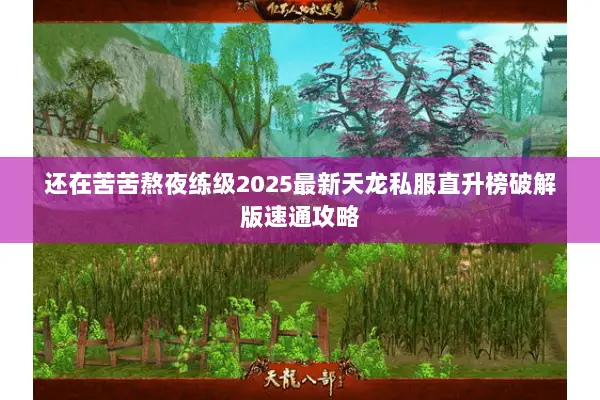 还在苦苦熬夜练级2025最新天龙私服直升榜破解版速通攻略 还在苦苦熬夜练级2025最新天龙私服直升榜破解版速通攻略