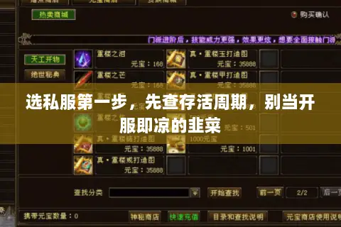 选私服第一步,先查存活周期,别当开服即凉的韭菜 选私服第一步,先查存活周期,别当开服即凉的韭菜