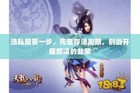 选私服第一步,先查存活周期,别当开服即凉的韭菜 选私服第一步,先查存活周期,别当开服即凉的韭菜