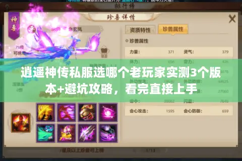 逍遥神传私服选哪个老玩家实测3个版本+避坑攻略,看完直接上手 逍遥神传私服选哪个老玩家实测3个版本+避坑攻略,看完直接上手