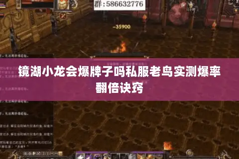 镜湖小龙会爆牌子吗私服老鸟实测爆率翻倍诀窍