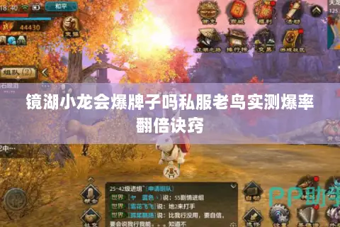 镜湖小龙会爆牌子吗私服老鸟实测爆率翻倍诀窍